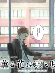 一起去露营 户外真人秀综艺免费在线观看